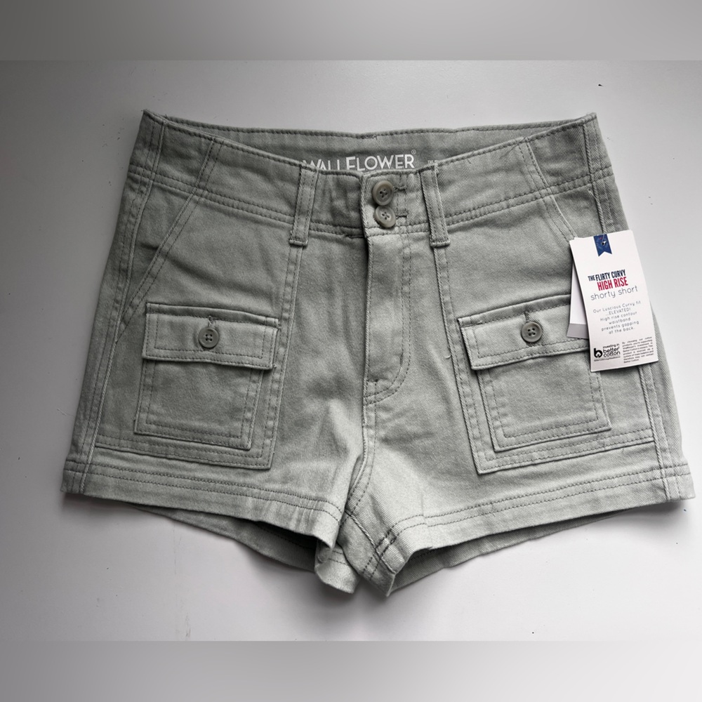 Wallflower mint high Rise stretch  Shorts
